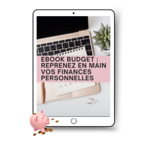 Ebook budget boutique